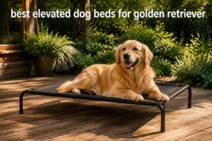 best elevated dog beds for golden retriever