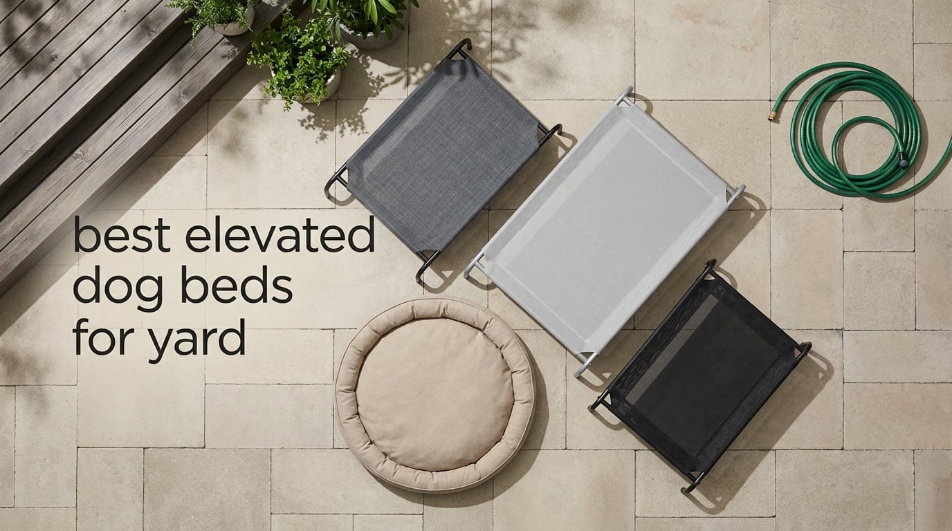 best elevated dog beds for yard