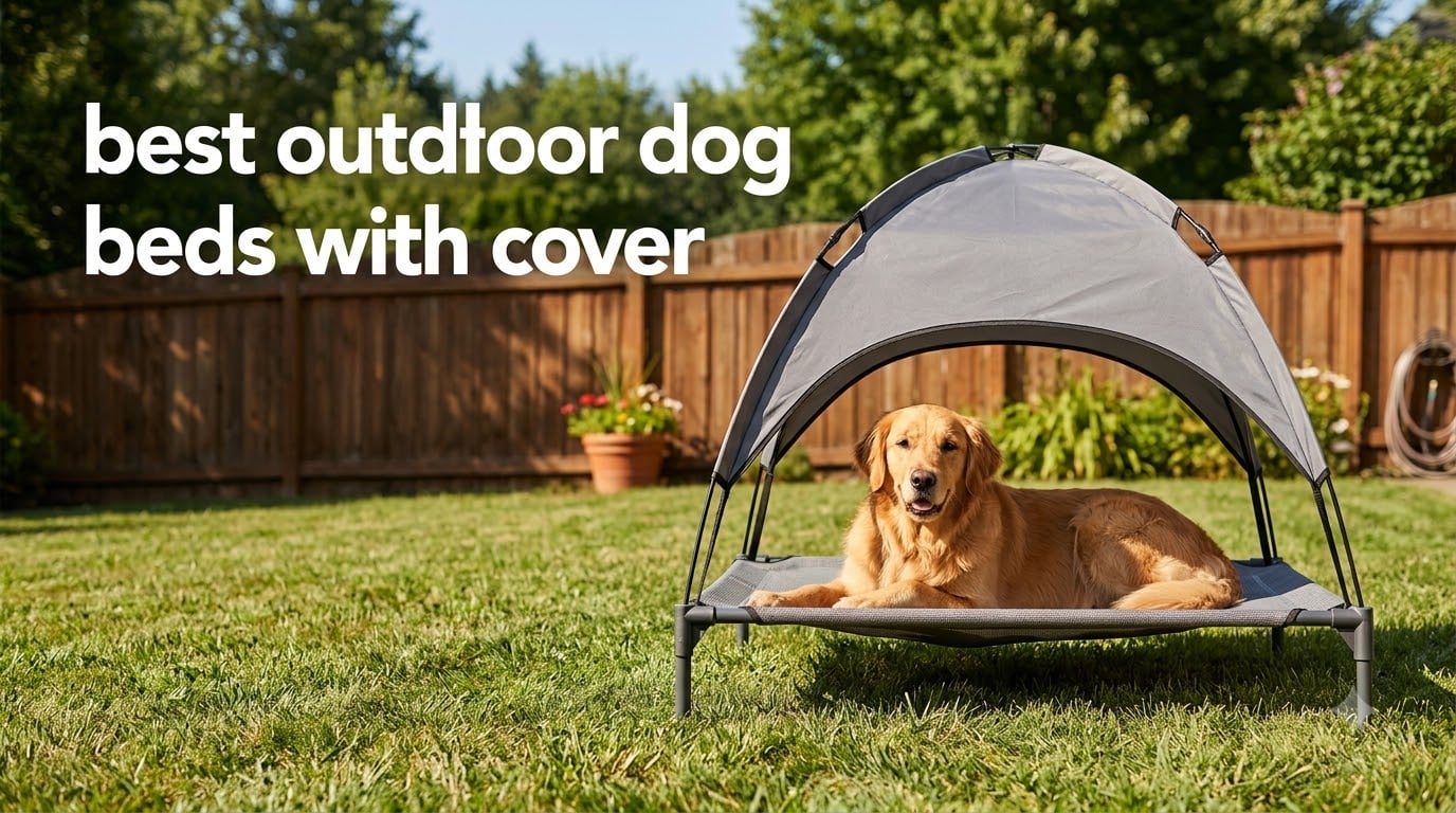 best outdoor dog beds with cover