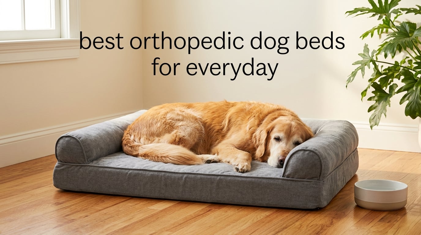 best orthopedic dog beds for everyday