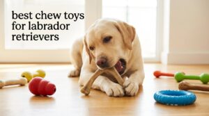 best chew toys for labrador retrievers