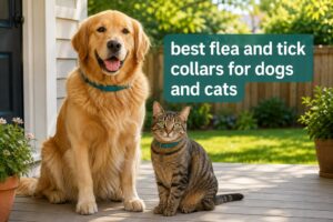 best flea and tick collars for dogs and cats