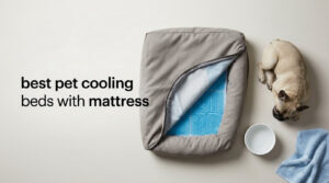 best pet cooling beds with mattress