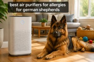 best air purifiers for allergies for german shepherds