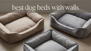 best dog beds with walls