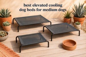 best elevated cooling dog beds for medium dogs