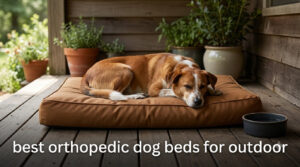 best orthopedic dog beds for outdoor