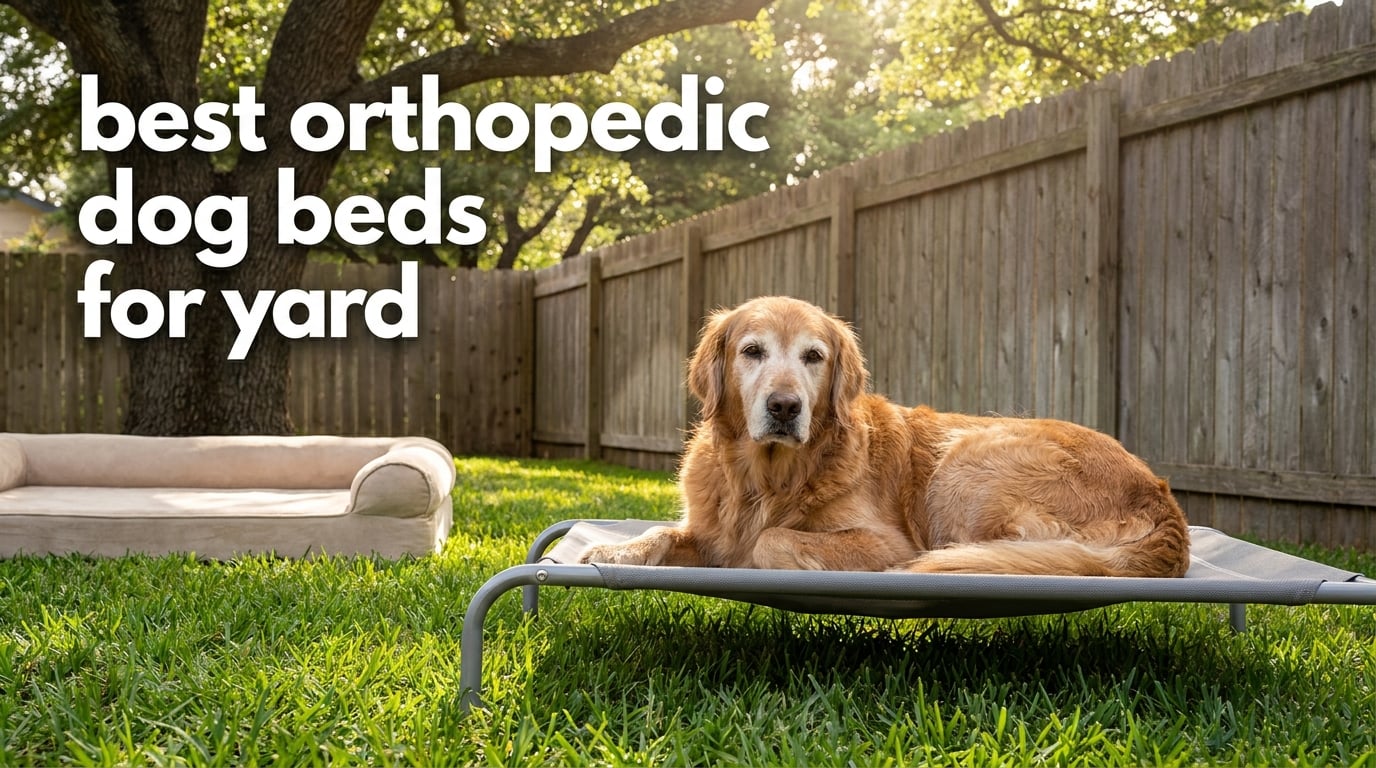best orthopedic dog beds for yard