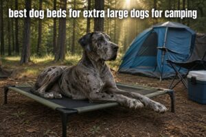 best dog beds for extra large dogs for camping