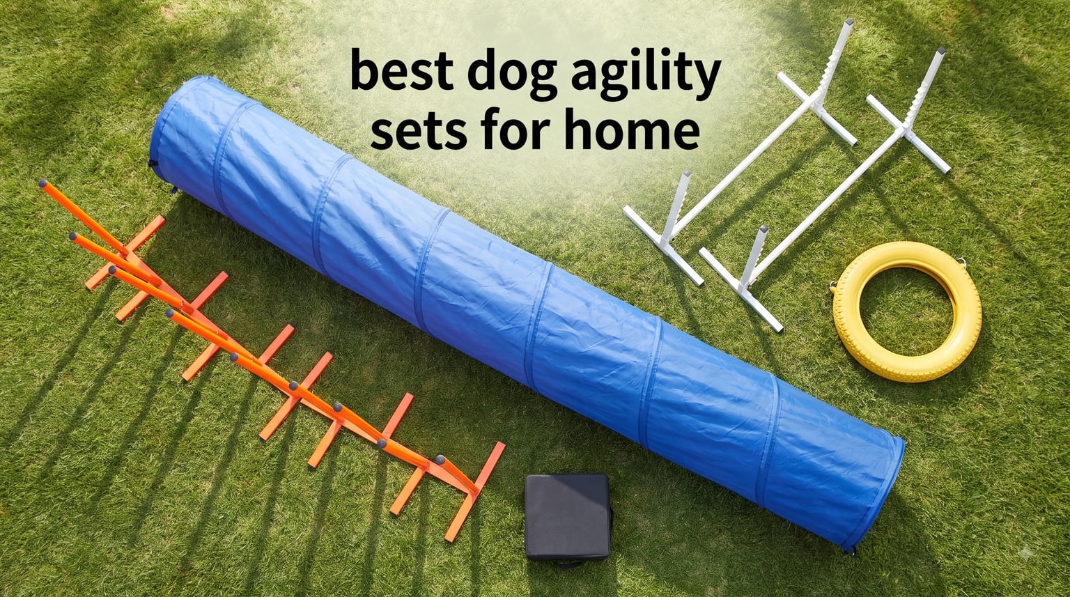 best dog agility sets for home