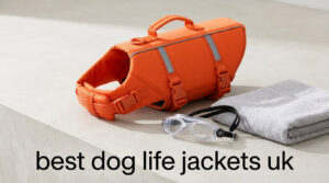 best dog life jackets uk