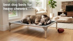 best dog beds for heavy chewers