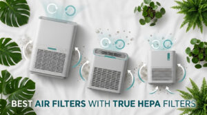 best air filters with true hepa filters