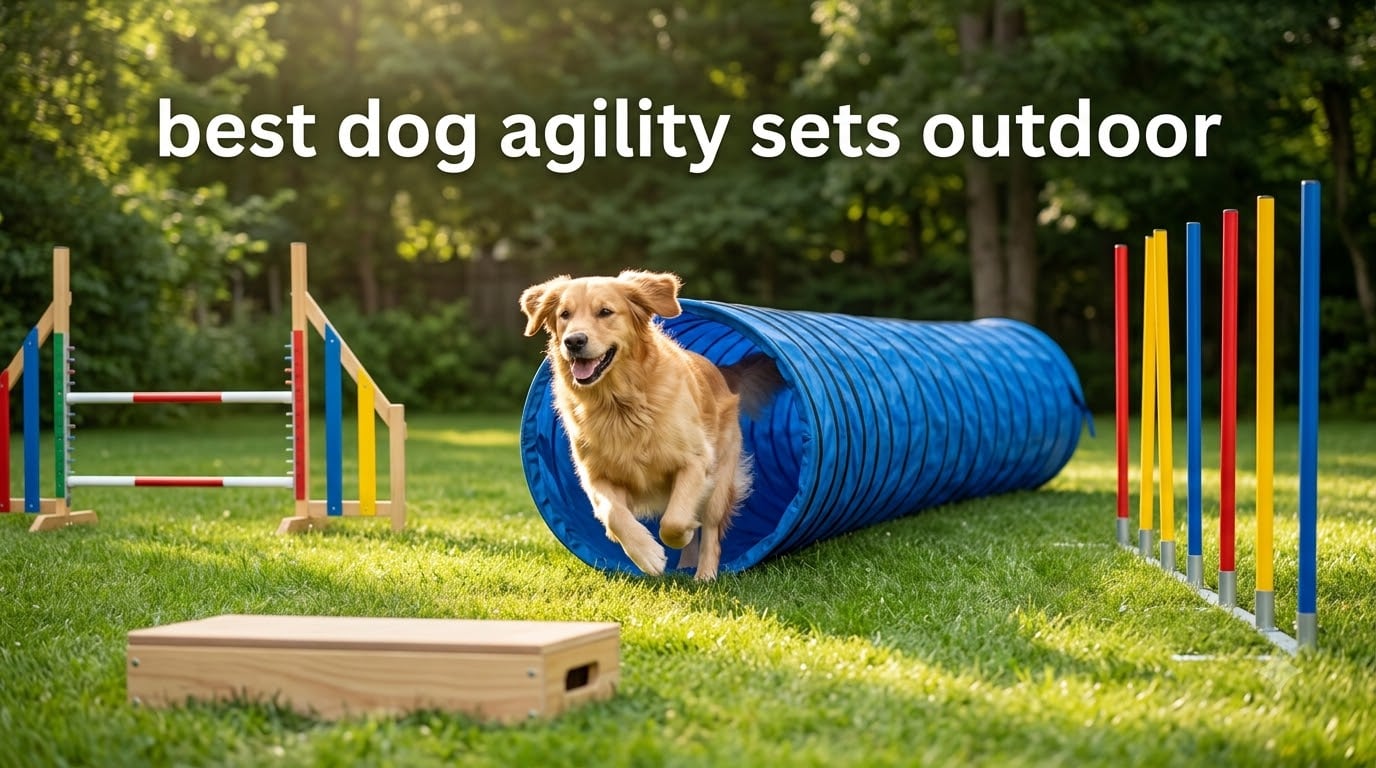 best dog agility sets outdoor