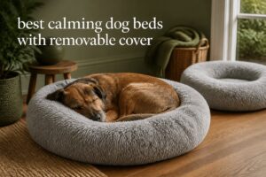 best calming dog beds with removable cover