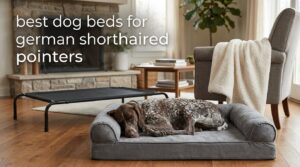best dog beds for german shorthaired pointers