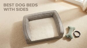 best dog beds with sides