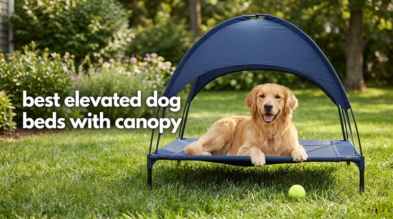 best elevated dog beds with canopy