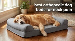 best orthopedic dog beds for neck pain