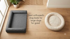 best orthopedic dog beds for large dogs for good
