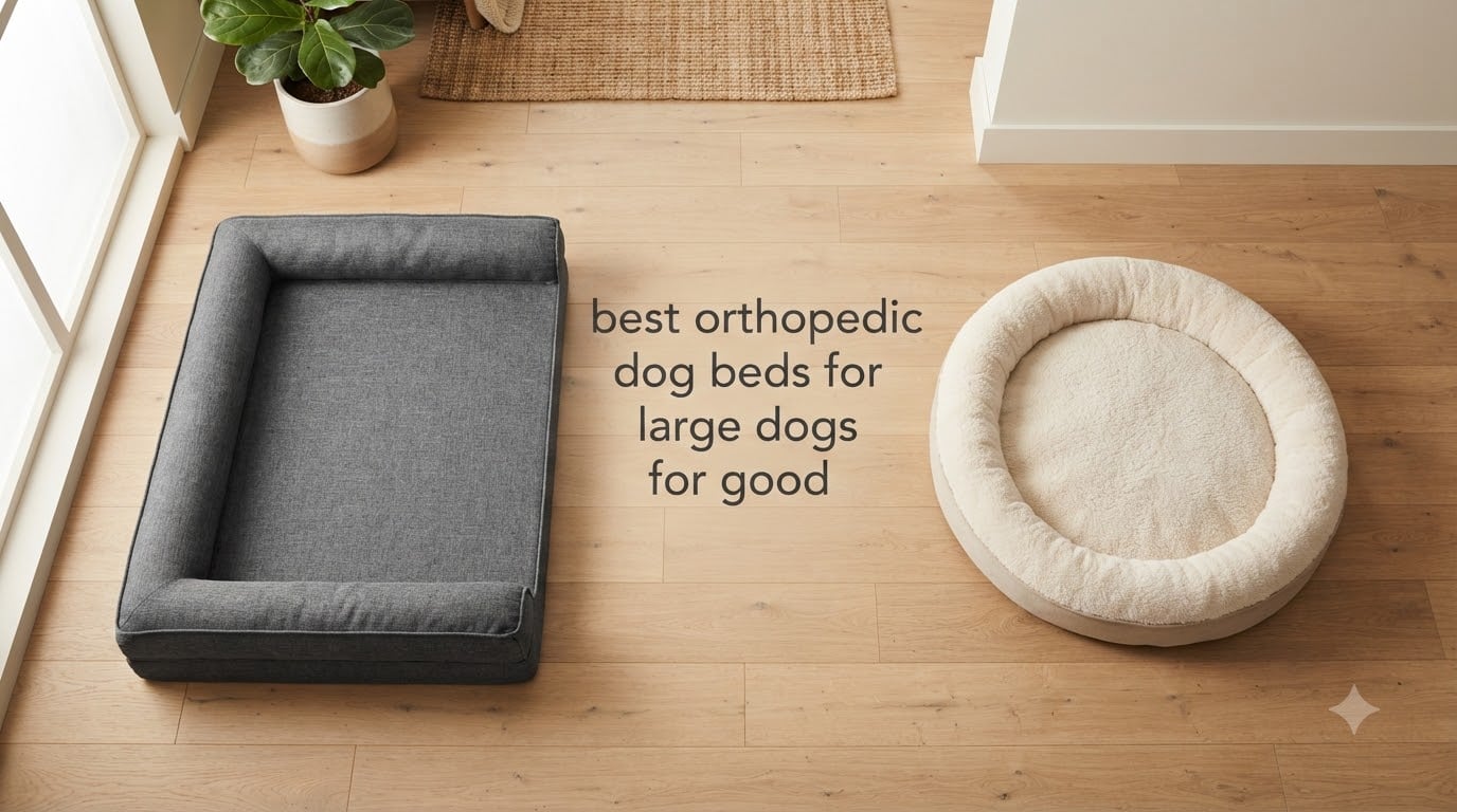 best orthopedic dog beds for large dogs for good