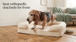 best orthopedic dog beds for front
