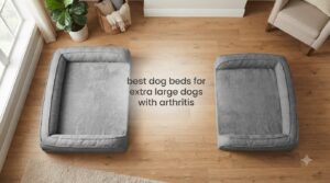 best dog beds for extra large dogs with arthritis