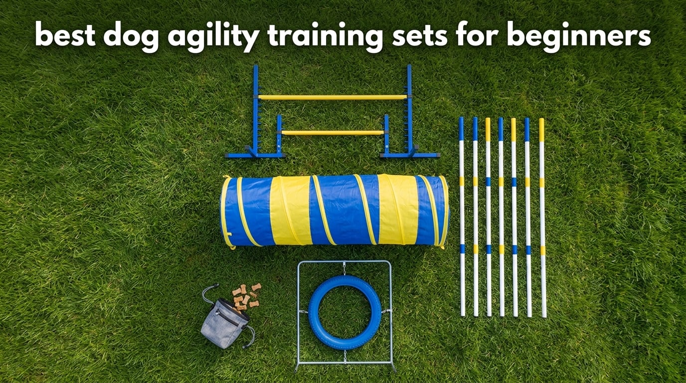 best dog agility training sets for beginners