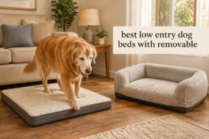 best low entry dog beds with removable