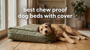 best chew proof dog beds with cover