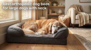 best orthopedic dog beds for large dogs with neck