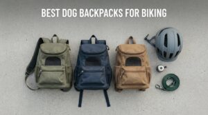 best dog backpacks for biking