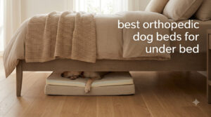 best orthopedic dog beds for under bed