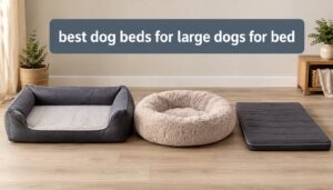 best dog beds for large dogs for bed