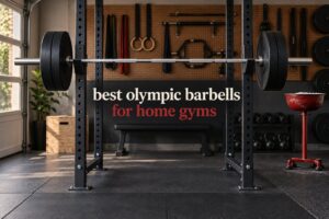 best olympic barbells for home gyms