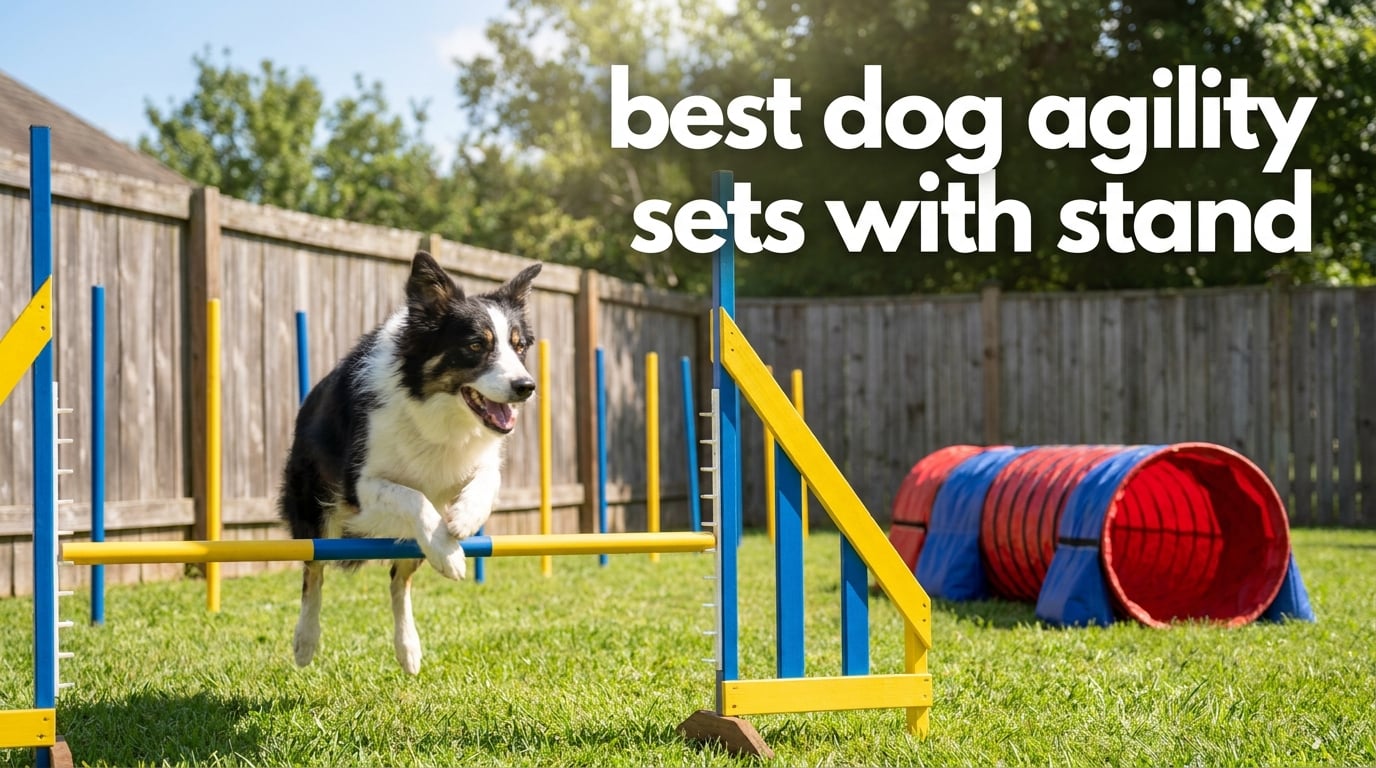 best dog agility sets with stand