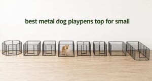 best metal dog playpens top for small