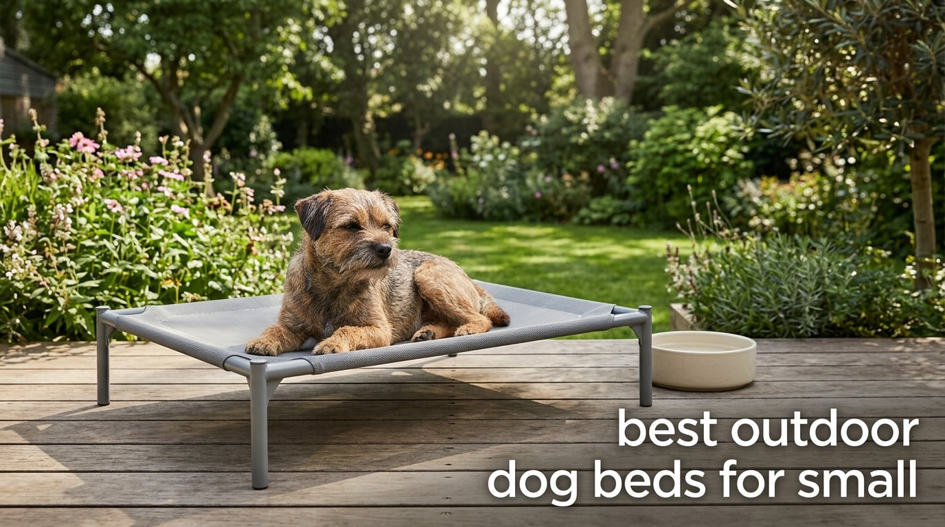 best outdoor dog beds for small