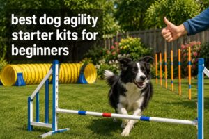 best dog agility starter kits for beginners