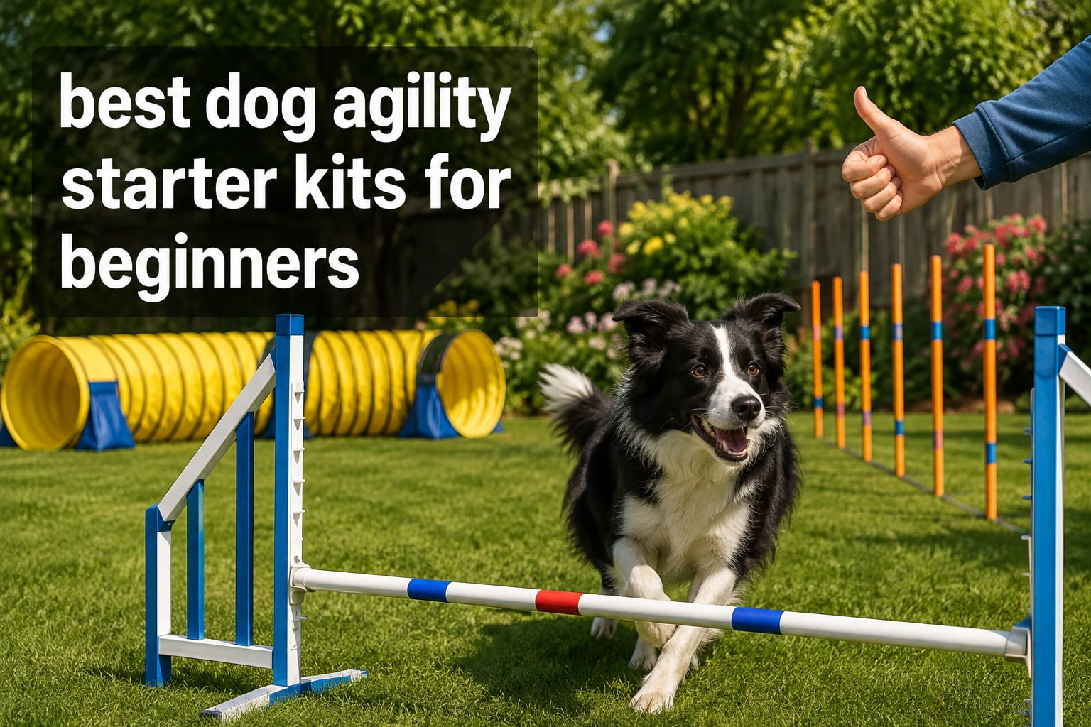 best dog agility starter kits for beginners