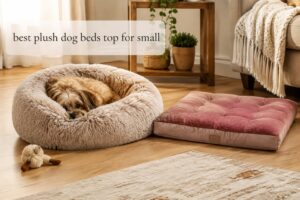 best plush dog beds top for small